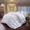 Luxurious Queen Size 700 Thread Count White Goose Down Comforter,
