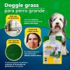 Tapete Entrenador Doggie Grass 3 Capas Grande Para Perro