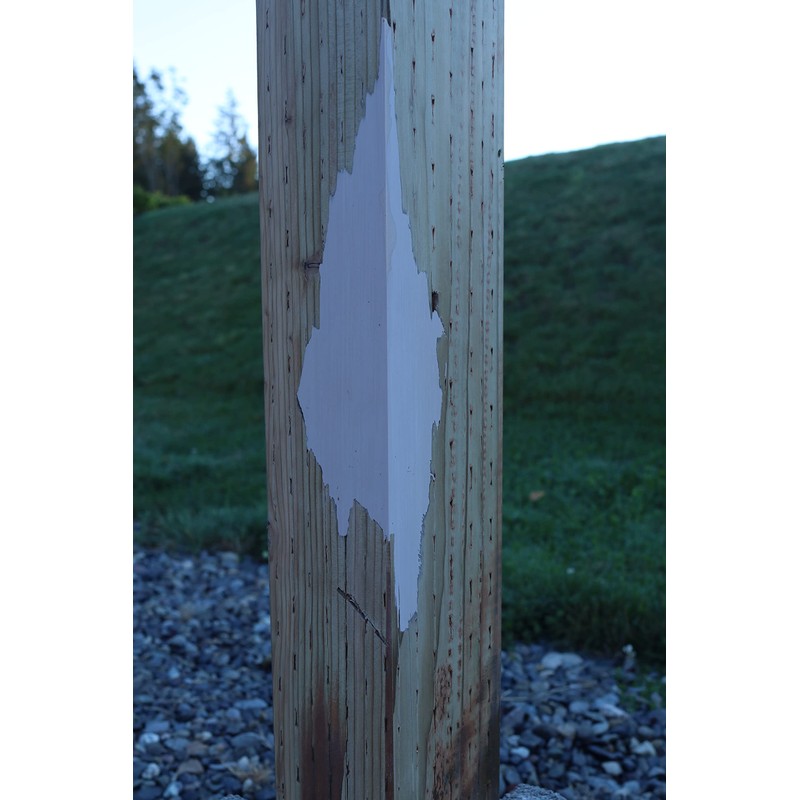 System Three SculpWood Max Putty Epoxy Wood Filler, 1/2 Gallon