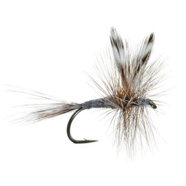 The Fly Fishing Place Adams Classic Trout Dry Fly Fishing Flies - Set of 6 Flies Size 16
