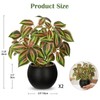 2 Packs Artificial Plants in Black Pot, 12" Faux Plant