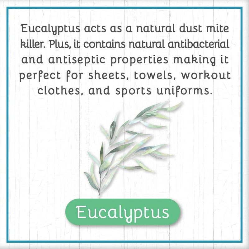 Brooke & Nora At Home, Goat Milk Laundry Soap, Eucalyptus,