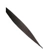 BLACK and WHITE Crepe Paper Streamers (2 Rolls Each Color)