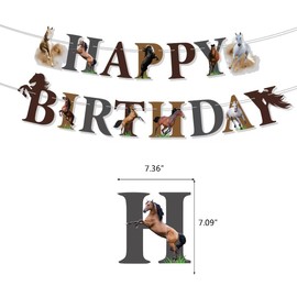 Birthday Party Decorations, Birthday Party Banner Garland, Horse Black Champagne Birthday Party Supplies