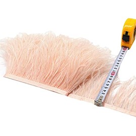 34 Colours Quality Ostrich Feather Trimming Fringe for Millinery Craft Dress Making (Champagne)