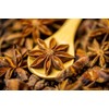 Trothic Spices Star Anise Whole | Chakri Phool | Badhiyan