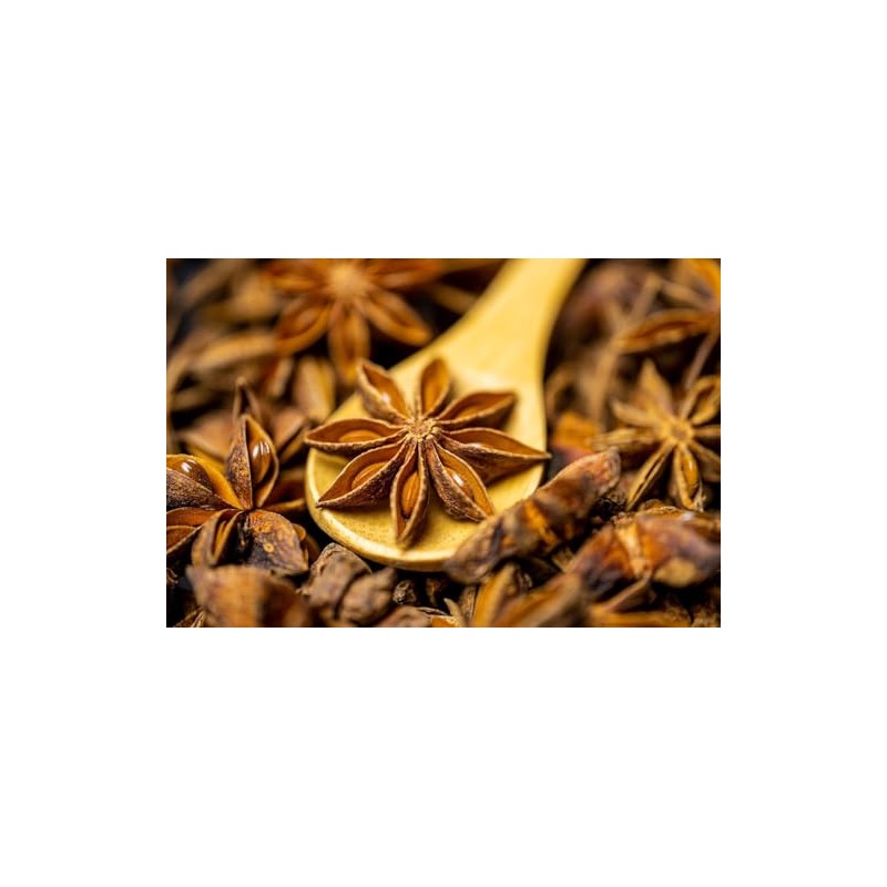 Trothic Spices Star Anise Whole | Chakri Phool | Badhiyan