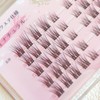 CLEAREYELASH Partial False Eyelashes, Large Capacity, 50 pcs, Korea, Natural,