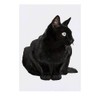 'Sitting Black Cat' Temporary Tattoo - Water Resistant, Skin-Safe, Non-Toxic