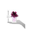 Love Struck Eau De Parfum Spray for Women by Vera