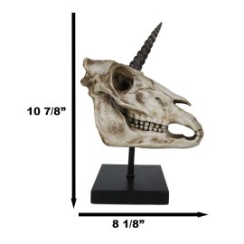 Rare Fossil Unicorn Skull With Sacred Horn Skull Figurine On Museum Pole Mount