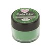 Rainbow Dust Edible Matt Powder Dust Colour 4g Holly Green