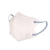 Kusuguru Japan Non-Woven 3D Mask Cat Round 30 Piece Set