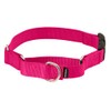 PetSafe Martingale Collar con Hebilla de Cierre rápido, 3/8 Pulgadas,