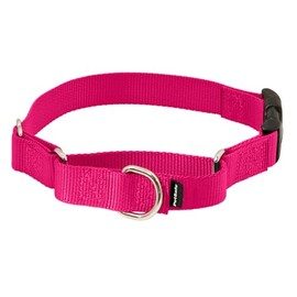 PetSafe Martingale Collar con Hebilla de Cierre rápido, 3/8 Pulgadas, pequeño, Frambuesa