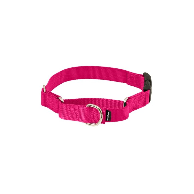 PetSafe Martingale Collar con Hebilla de Cierre rápido, 3/8 Pulgadas,