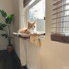 Cat Window Perch - Drill-Free Adjustable Sill Hammock, Sturdy Wood