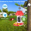Hummingbird Feeder with Camera, Smart Hummingbird Feeder Camera Solar Powered
