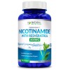 Natural Nicotinamide with Resveratrol 600mg Vitamin B-3 - 120 Veggie