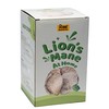 Root Mushroom Farm Lion's Mane Grow Kit (one kit), 3.2