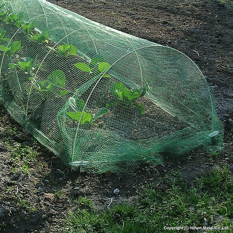 Minimalist Sol (marsol) Soft Butterfly Bird 10 mm Square Eyes