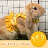 ALUZAEMO Bunny Harness and Leash Set, Escape Proof Carrot Mesh