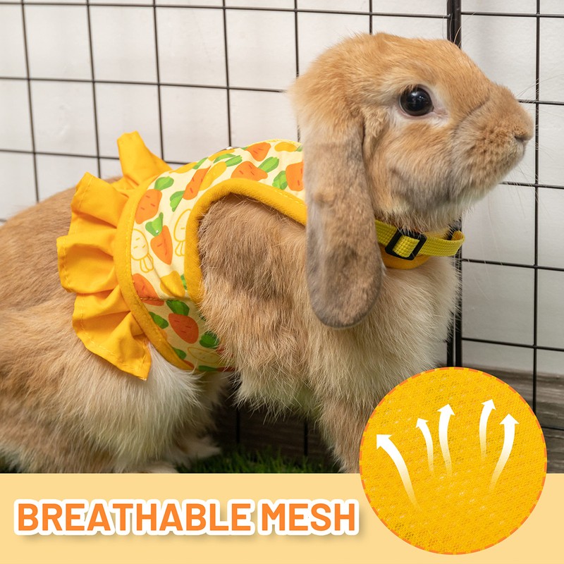 ALUZAEMO Bunny Harness and Leash Set, Escape Proof Carrot Mesh