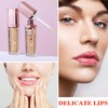Lip Plumper Gloss City Lips Plumping Lip Gloss,Moisturizing And Reduces