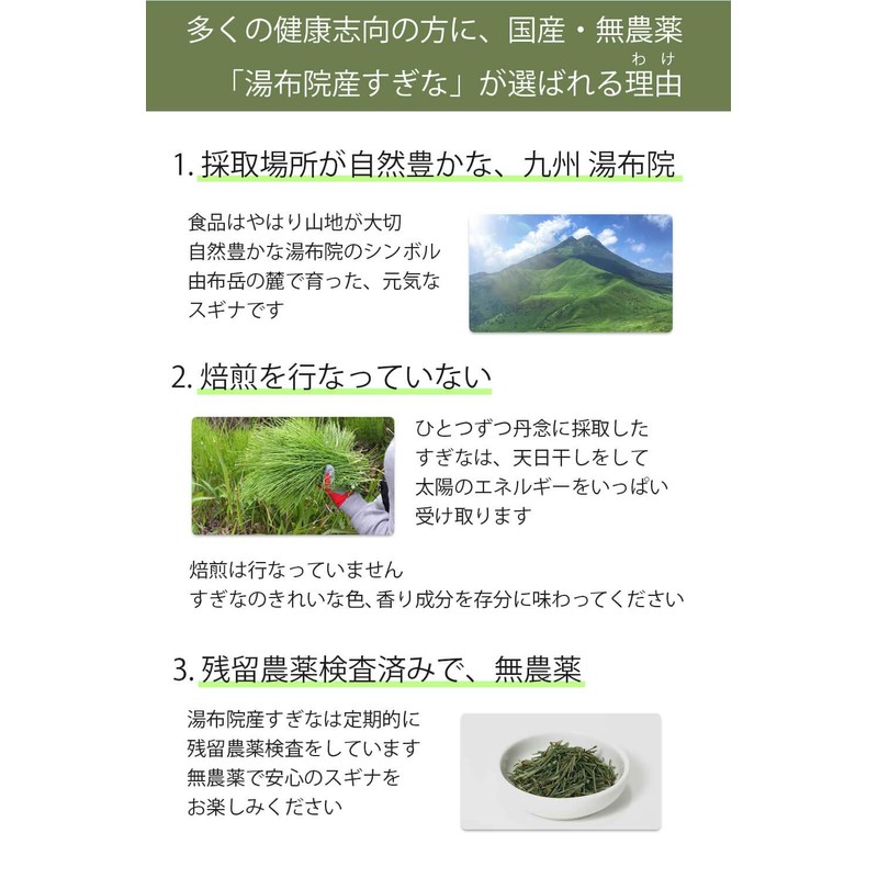 湯布院産 無農薬 スギナ茶 天日干し 非焙煎 国産 (100g × 1袋)