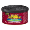 Car Scents Concord Cranberry