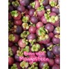 Premium Whole Freeze Dried Tropical Fruits, 100% Fruits, Natural, 70G