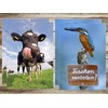 Edition Colibri Funny Animals VII Postcard Set with 8 Designs