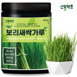 국내산 보리새싹 분말 300gx1통 보리새싹 보리순 청정지역 제주도 Domestic Barley Sprout Powder 300g x 1 Container Barley Sprout Barley Shoot Clean Area Jeju Island