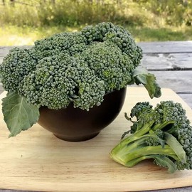Mai's Family 2000 SEEDS Waltham 29 Broccoli Seeds - NON-GMO