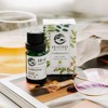 Frankincense Essential Oil - 100% Pure Frankincense Oil for Skin