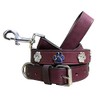 BRADLEY CROMPTON (Dog Lead + Dog Collar) Genuine Leather Matching