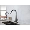 KUIKUI Kitchen Faucet with 20" Pull Down Sprayer, Single Lever