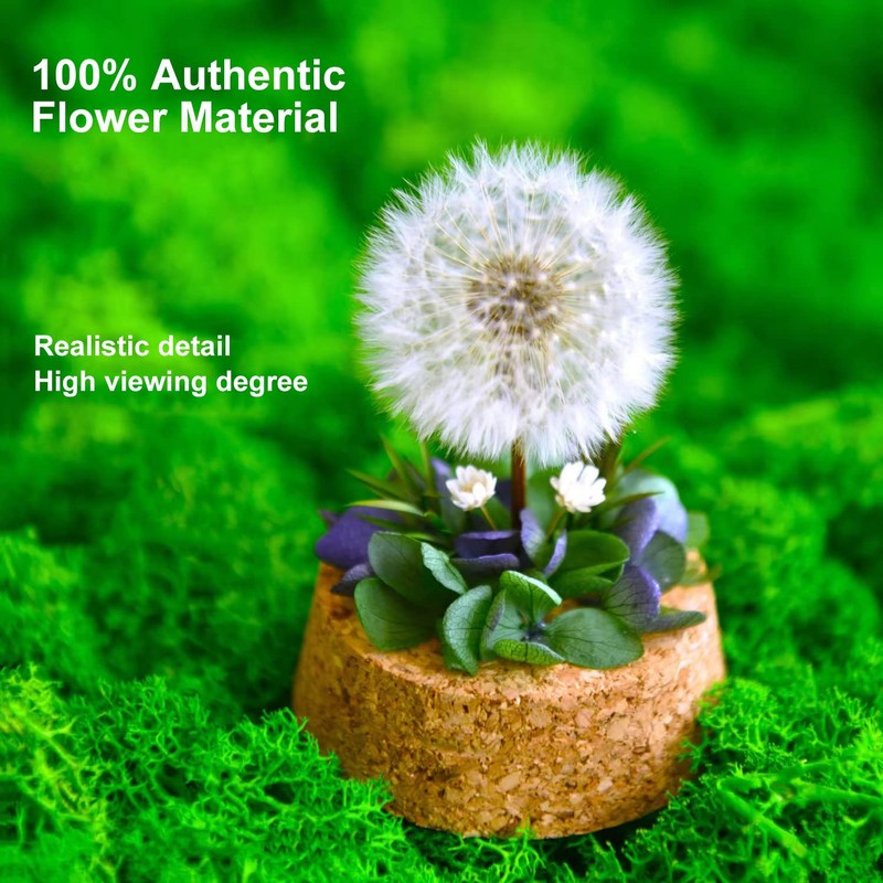DESHINTKE Diente de león seco flor espécimen pisapapeles flor eterna
