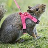 Wontee Small Pet Harness Vest and Leash Set with Bowknot
