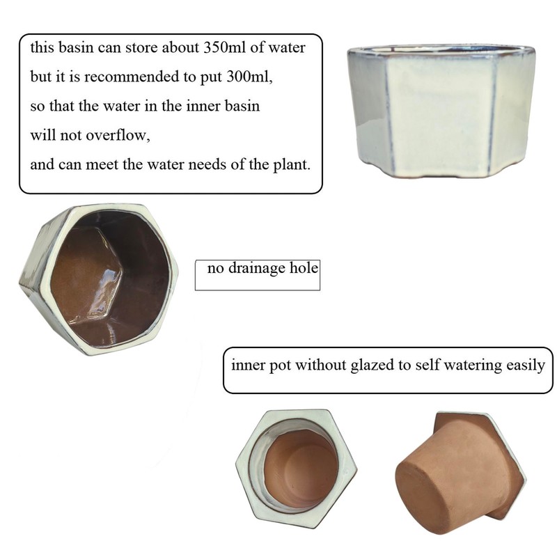 Dphagesy African Violet Pots 6 inch Hexagon Self-Watering Ceramic Violet