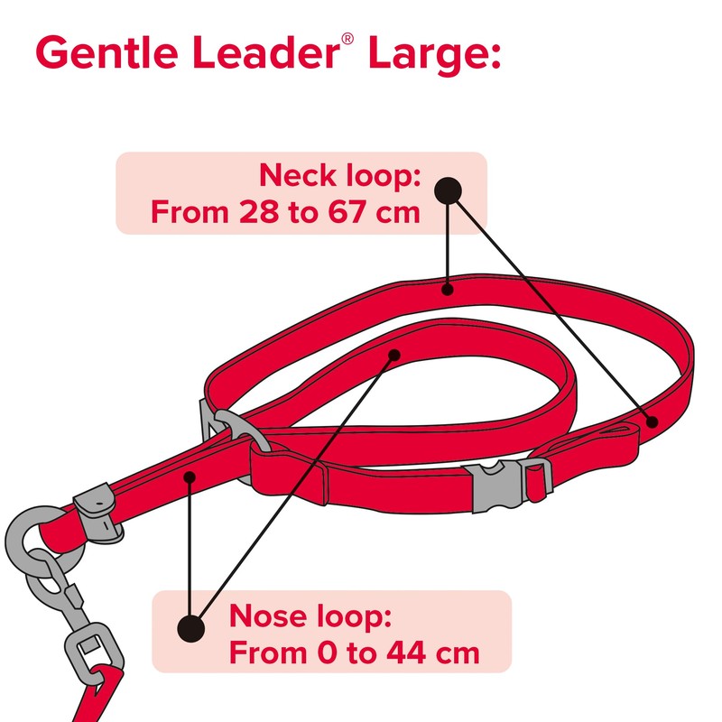 Beaphar | Gentle Leader | Head Collar for Large Dogs