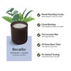 Sprig by Kohler Breathe Aromatherapy Candle with Eucalyptus and Mint,