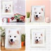 DECANIT 11x14 Picture Frames without Mat & 8x10 Picture Frames