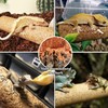 Crested Gecko Tank Accessories, Reptile Decor,Reptile Hanging Plants Vines with