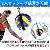 Volleyball Attack, Gift from Kishu, Volleyball Practice, Volleyball, Attack, Serve,