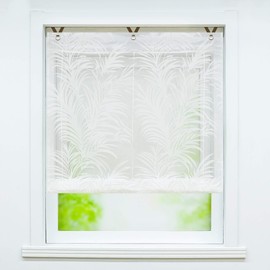 Joyswahl Alisha Voile Eyelet Roller Blind, Transparent Roman Blind with Spring, Burnout Quality, Window Curtain with Hook Hanging, Roman Blind No Drilling Required, W x H 80 x 130 cm, 1 Piece