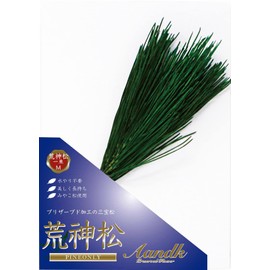 A&K Kojinmatsu Kanto Style Preserved (M Size/1 Bundle/Height 32 cm), Made in Japan, Made in Tanba, Made in Japan, Made in Japan, Made in Japan, Made in Japan, Made in Japan, Kamijinmatsu