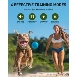 Jugbow Dog Shock Collar - 4200FT Dog Training Collar with Remote for 5-120lbs Small Medium Large Dogs, IPX8 Waterproof E Collar with 4 Training Modes, Security Lock, Rechargeable Shock Collar Green