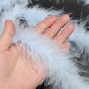 PATIKIL 6.6 Ft Feather Boas, 1 Pcs Feather for DIY