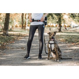 Waist Belt & Bungee Leash, Retractable Hands Free Dog Leash, Shock Absorber for Running, Walking, Hiking, Jogging, Animals up to 100 lbs,Reflective Detailing, Pouches for Phone/Treats/Water